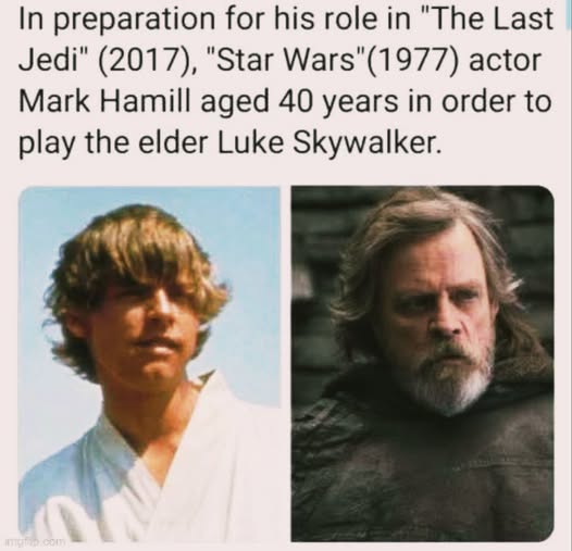 The meme is a humorous comparison between the actor who played Luke Skywalker in the original Star Wars trilogy (Mark Hamill) and the actor who played Luke Skywalker in the sequel trilogy (Mark Hamill, again). The meme states "In 40 years" and shows a photo of Mark Hamill as a young Luke Skywalker and a photo of Mark Hamill as an older Luke Skywalker. The text above the photos reads "In 40 years".